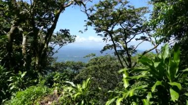 Mombacho Volkanı Doğa Koruma Alanı 'ndaki Orman