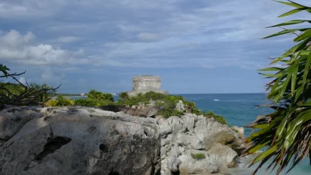 Lucertola Sulle Rocce Dell Antica Fortezza Maya Tulum Yucatan Messico — Video Stock