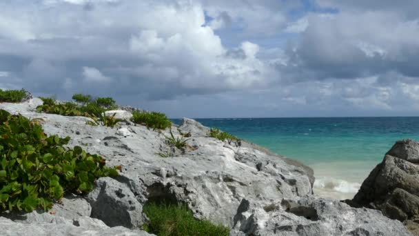Blue Sea Coast Rocks Tulum Yucatan Mexico — Stock video
