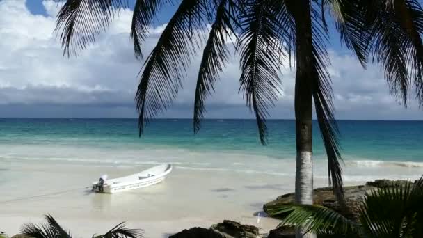 Pequeña Bahía Con Bote Palmera Costa Tulum Yucatan México — Vídeos de Stock