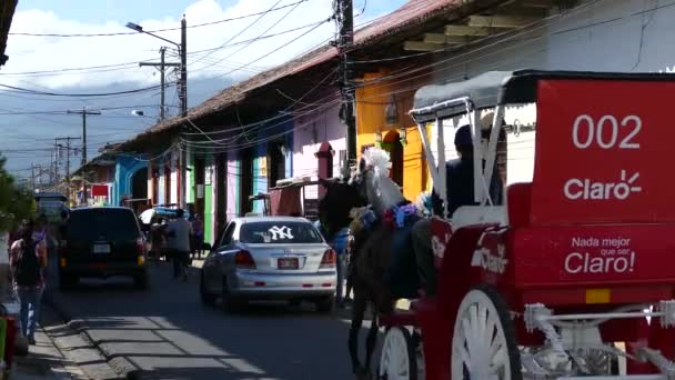 格拉纳达尼加拉瓜繁忙的街道场景 马匹和马车经过 — 图库视频影像