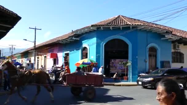 グラナダの賑やかなストリートシーンニカラグア馬や馬車が通り過ぎる — ストック動画