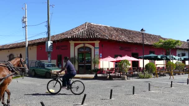 Caballo Carruaje Pasando Por Granada Con Una Hermosa Casa Rosa — Vídeos de Stock