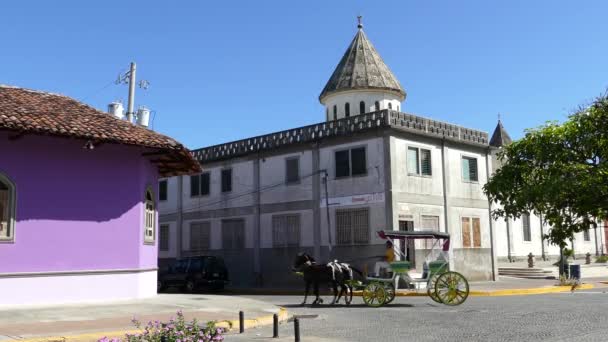 Tourists Walking Horse Carriage Granada Nicaragua — Stock Video