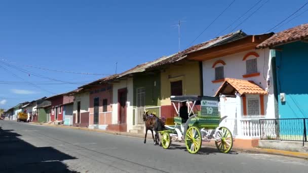 Caballo Carruaje Pasando Por Una Calle Con Casas Colores Granada — Vídeos de Stock