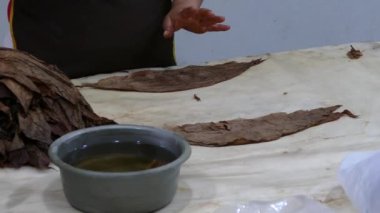 Puro basmak Esteli Nikaragua 'daki bir sigara fabrikasında patlak verir.