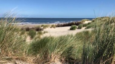 Almanya 'nın Borkum adasındaki kum tepeleri ve plajlar