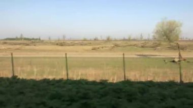 Oostvaardersplassen 'in yanından geçen Hollanda' ya doğru giderken trenden görüntü.