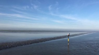 Hollanda, Friesland 'daki Wadden Denizi' ne yelken açmak.