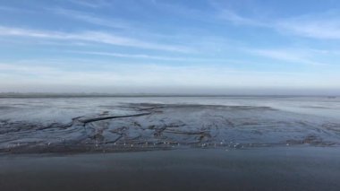 Hollanda, Friesland 'daki Wadden Denizi' ne yelken açmak.