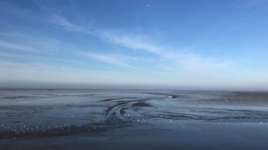 Hollanda, Friesland 'da dalgalar çekildiğinde Wadden Denizi' ne yelken açtık.