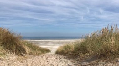 Friesland 'daki Ameland Adası' ndaki plaja giden yol Hollanda.