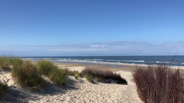Caminho Para Praia Ilha Borkum Alemanha — Vídeo de Stock