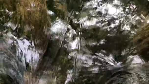 Víz Patak Krka Nemzeti Parkban Horvátország — Stock videók