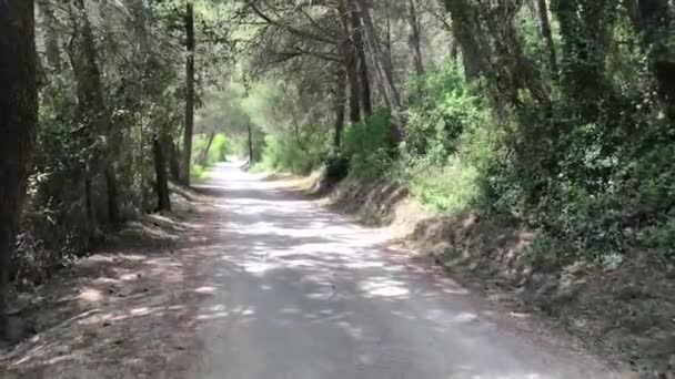 Camminare Una Strada Vicino Fiume Krka Croazia — Video Stock