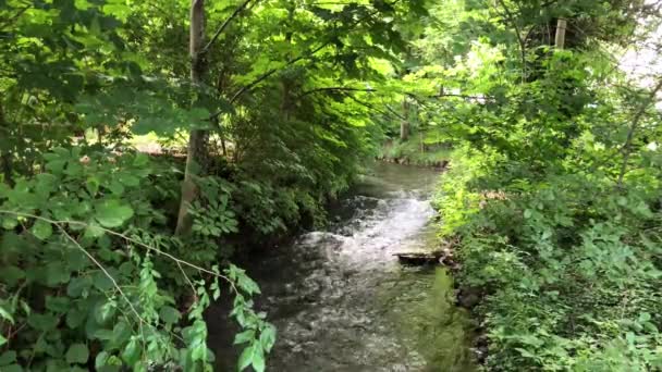 Fluss Durch Die Stadt Erfurt Deutschland — Stockvideo