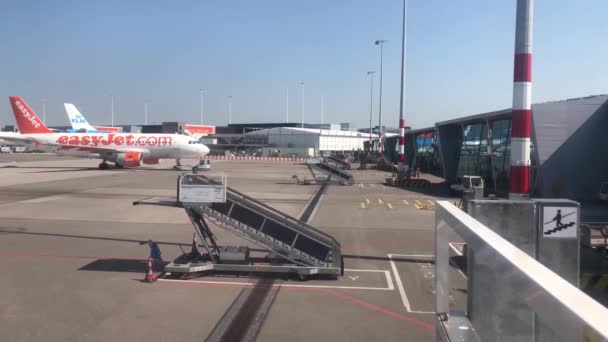 Wepchnięcie Samolotu Easyjet Lotnisko Schiphol Amsterdamie Holandia — Wideo stockowe