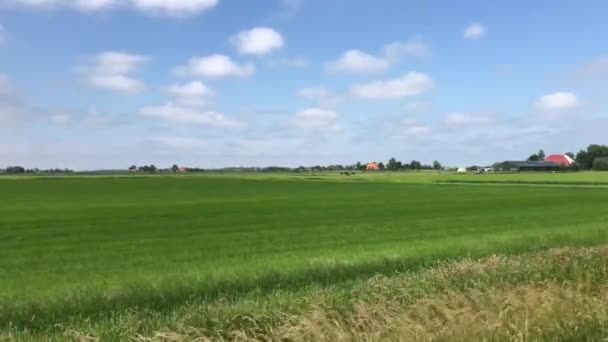 Paysage Agricole Frison Aux Pays Bas — Video