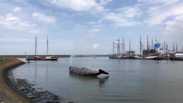 Σιντριβάνι Φάλαινας Σπέρματος Στο Zuiderpier Και Nieuwe Willemshaven Στο Harlingen — Αρχείο Βίντεο