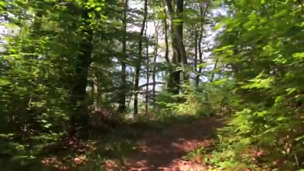 Wandelen Door Het Bos Kapuzinerberg Een Heuvel Salzburg Oostenrijk — Stockvideo