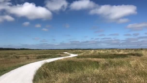 Pan Ptaków Odlatujących Schiermonnikoog Holandii — Wideo stockowe