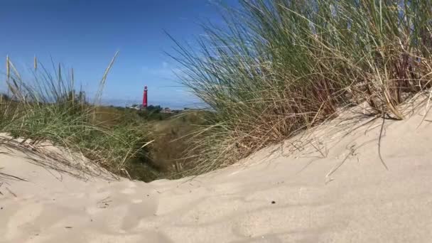 Dunes Sable Avec Phare Arrière Plan Sur Schiermonnikoog Aux Pays — Video