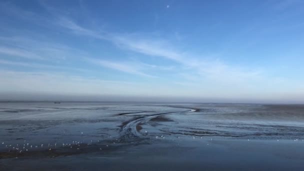 Navegar Mar Wadden Durante Marea Baja Frisia Holanda — Vídeo de stock