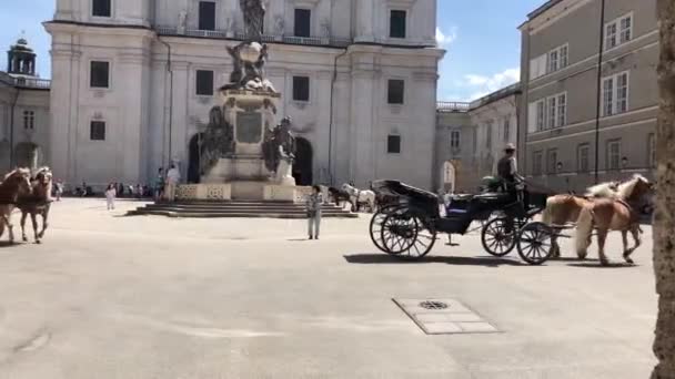 オーストリアのザルツブルク大聖堂の前に馬と馬車 — ストック動画