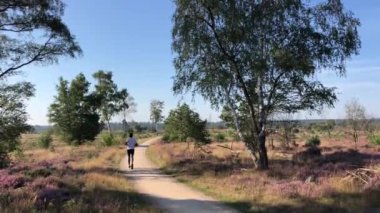 Hollanda 'daki Ulusal Park Sallandse Heuvelrug' da koşmak