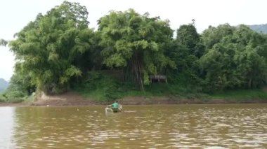 Mekong nehrinin oradan geçen bir balıkçı, Laos