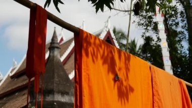 Wat aham luang prabang 'daki turuncu keşiş cüppesinde kelebek.