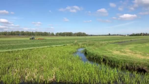Rolnik Pracujący Friesland Holandia — Wideo stockowe