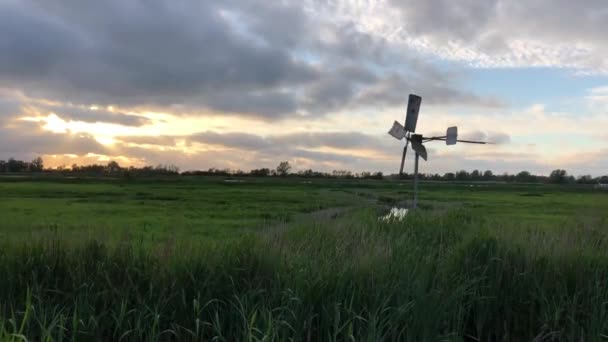 Wiatrak Przy Zachodzie Słońca Wokół Sneek Friesland Holandia — Wideo stockowe