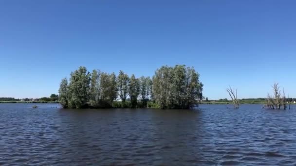 在荷兰弗里斯兰斯内克附近的一个湖上航行 — 图库视频影像