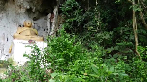 Estatua Buda Las Cuevas Pak Laos — Vídeo de stock