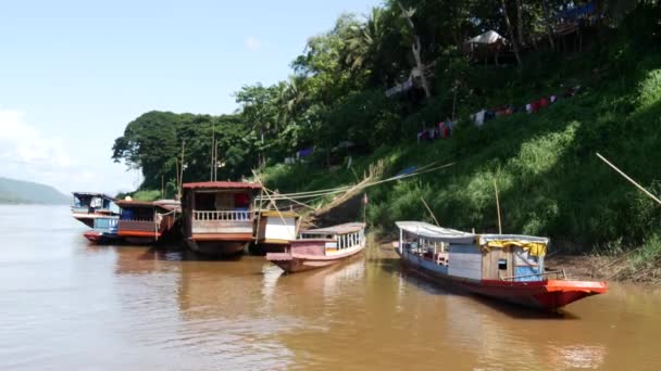 Dlouhoocasé Čluny Břehu Luang Prabang Laos — Stock video