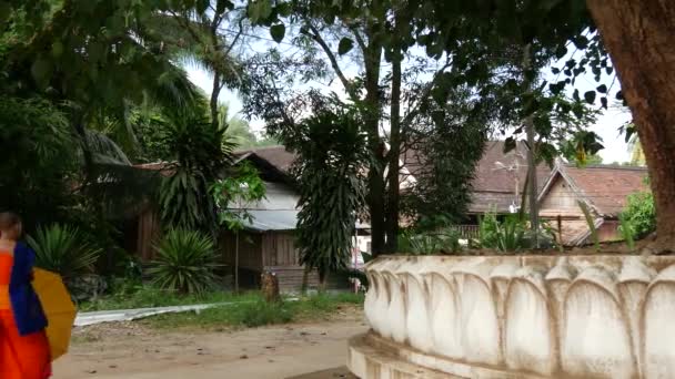 Monje Que Pasa Por Luang Prabang Laos — Vídeos de Stock