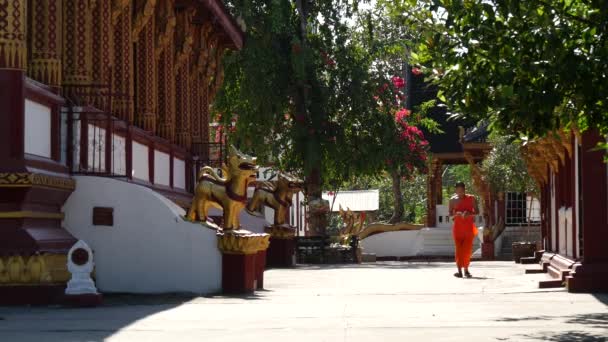 Başlayın Geedit Monk Wat Yürüyor Luang Prabang Laos — Stok video