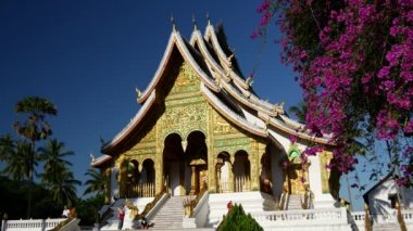 Luang Prabang 'da mor çiçekli Haw Pha Bang Kraliyet Tapınağı.
