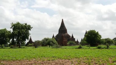 Bagan, Myanmar, Burma 'daki Pagodas arazisinden pan