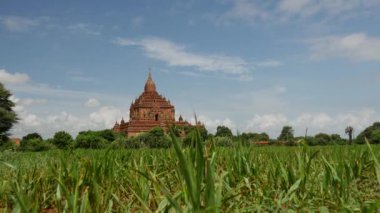 Bagan 'daki Sulamani Tapınağı Pagoda, Myanmar, Burma