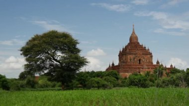 Bagan 'daki Sulamani Tapınağı Pagoda, Myanmar, Burma