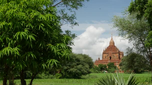 Pagoda Świątynna Sulamani Bagan Birma — Wideo stockowe