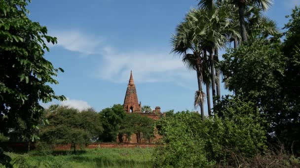 Pagoda Bagan Myanmar Birma — Wideo stockowe