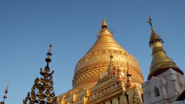 Shwezigon Pagoda Bagan Myanmar Burma — Stockvideo