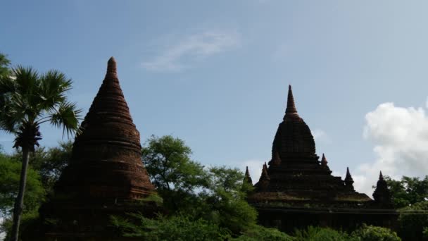 Pagodas Siluett Bagan Myanmar Burma — Stockvideo