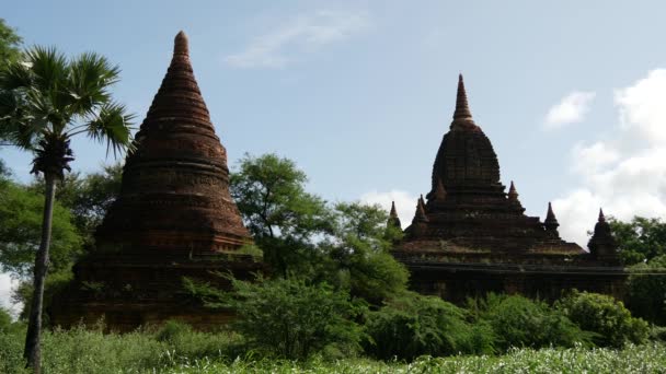 Silhouette Pagodes Bagan Myanmar Birmanie — Video