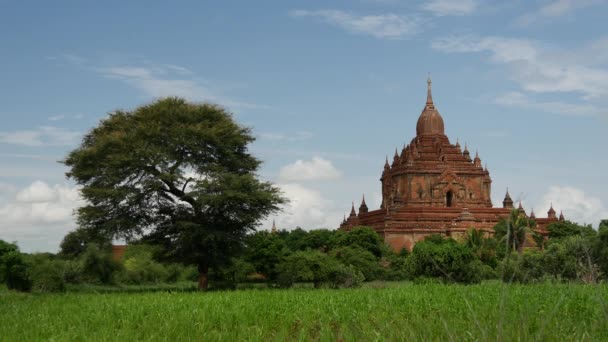 Sulamani Temple Pagoda Bagánu Myanmaru Barmě — Stock video