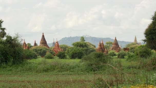 Pagodas Landscape Bagan Myanmar Burma — Stock Video