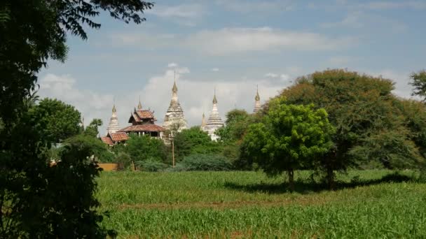 Τοπίο Pagodas Bagan Μιανμάρ Βιρμανία — Αρχείο Βίντεο